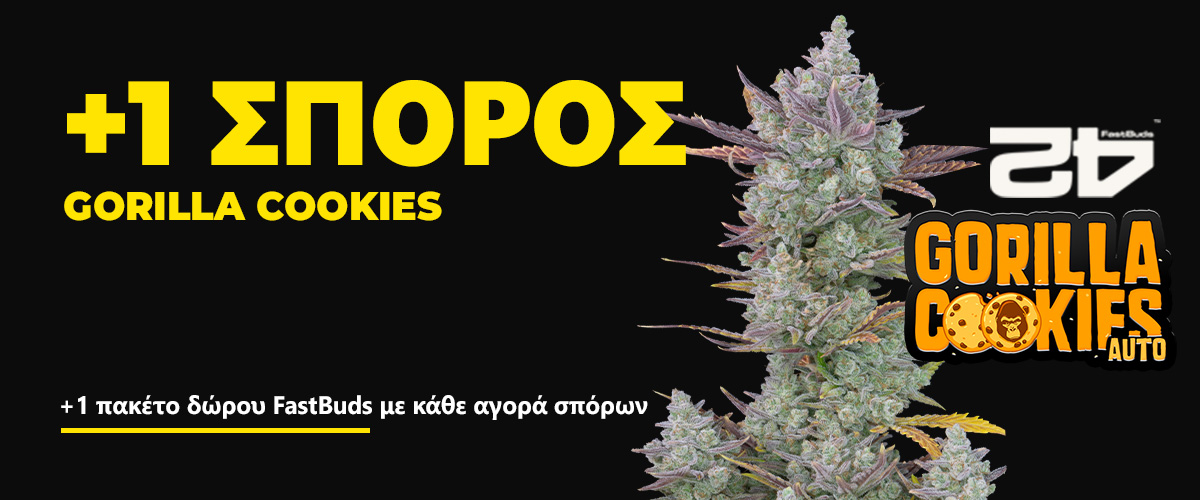 Fast Buds Gift_Pack_Greek_1600x500